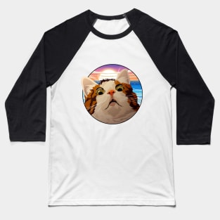 Meme Cat Baseball T-Shirt